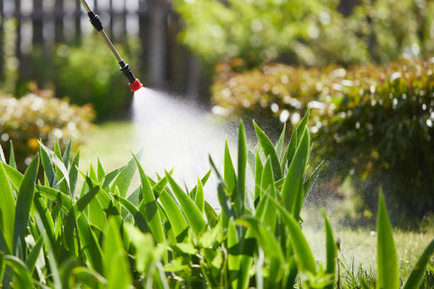 Tamper-Resistant Bait Stations for Rodents in East Palo Alto