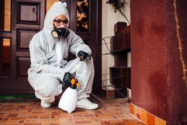 Attic and Crawl Space Rodent Treatment in East Palo Alto
